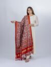 Double ikkat  Patan Patola Dupatta