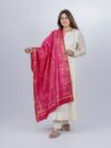 Single ikat Patola Dupatta